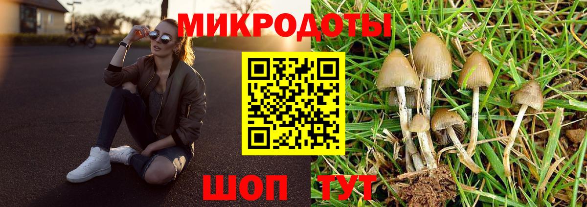 Псилоцибиновые грибы прущие грибы Вязники